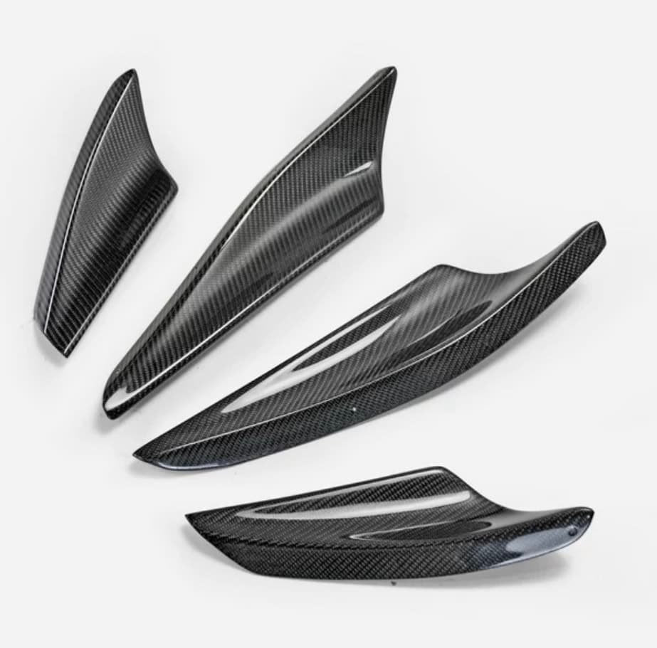Evo X Carbon Canard