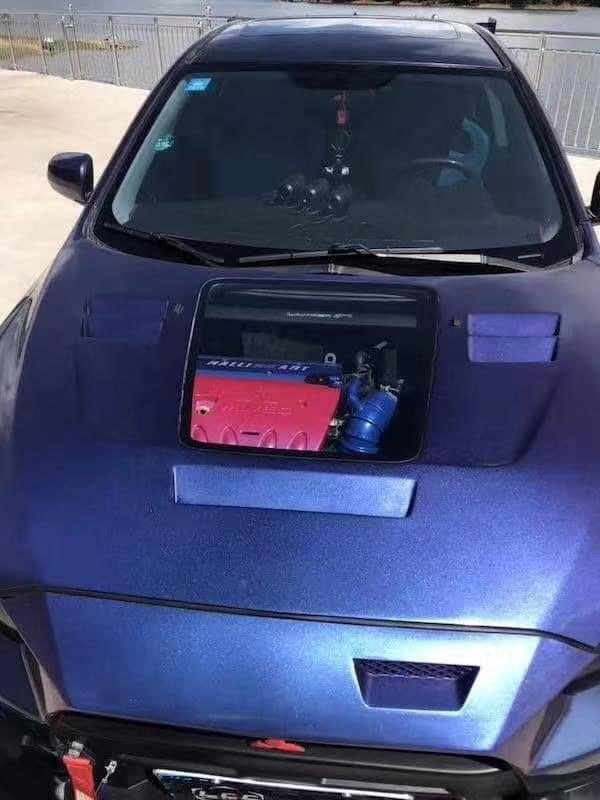 Fiberglass Hood