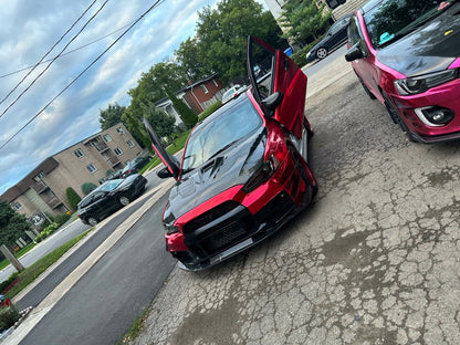 Lambo Door