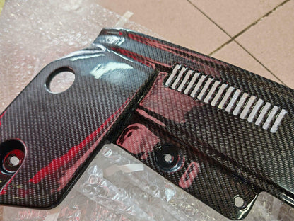 Radiator Carbon Cover