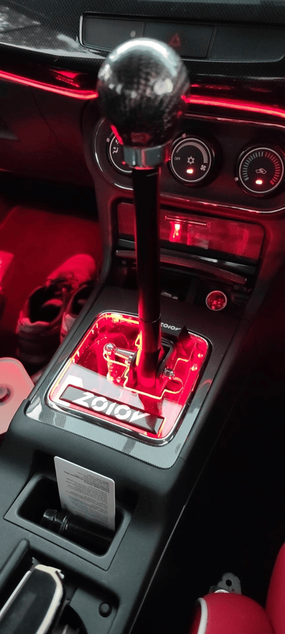 ZOIOV Shifter Cage