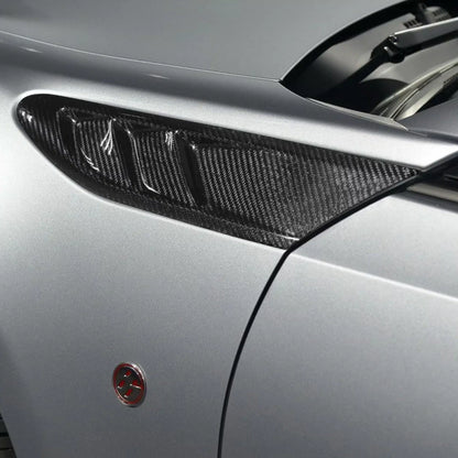 Carbon Side Fender