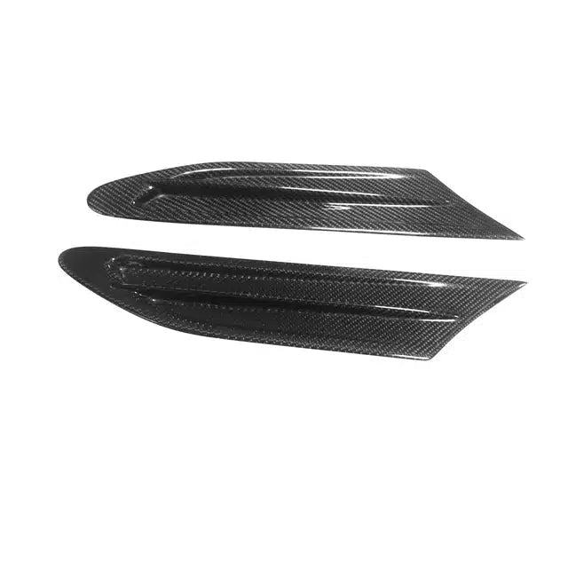 Carbon Side Fender