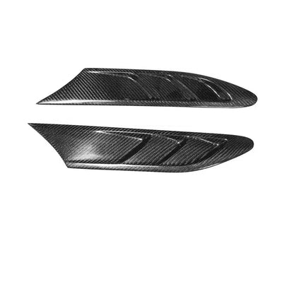 Carbon Side Fender