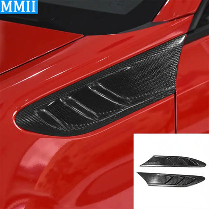 Carbon Side Fender