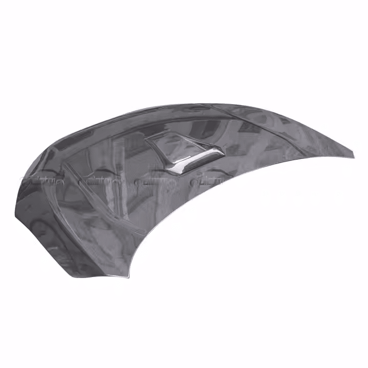 Civic Carbon Type R Hood