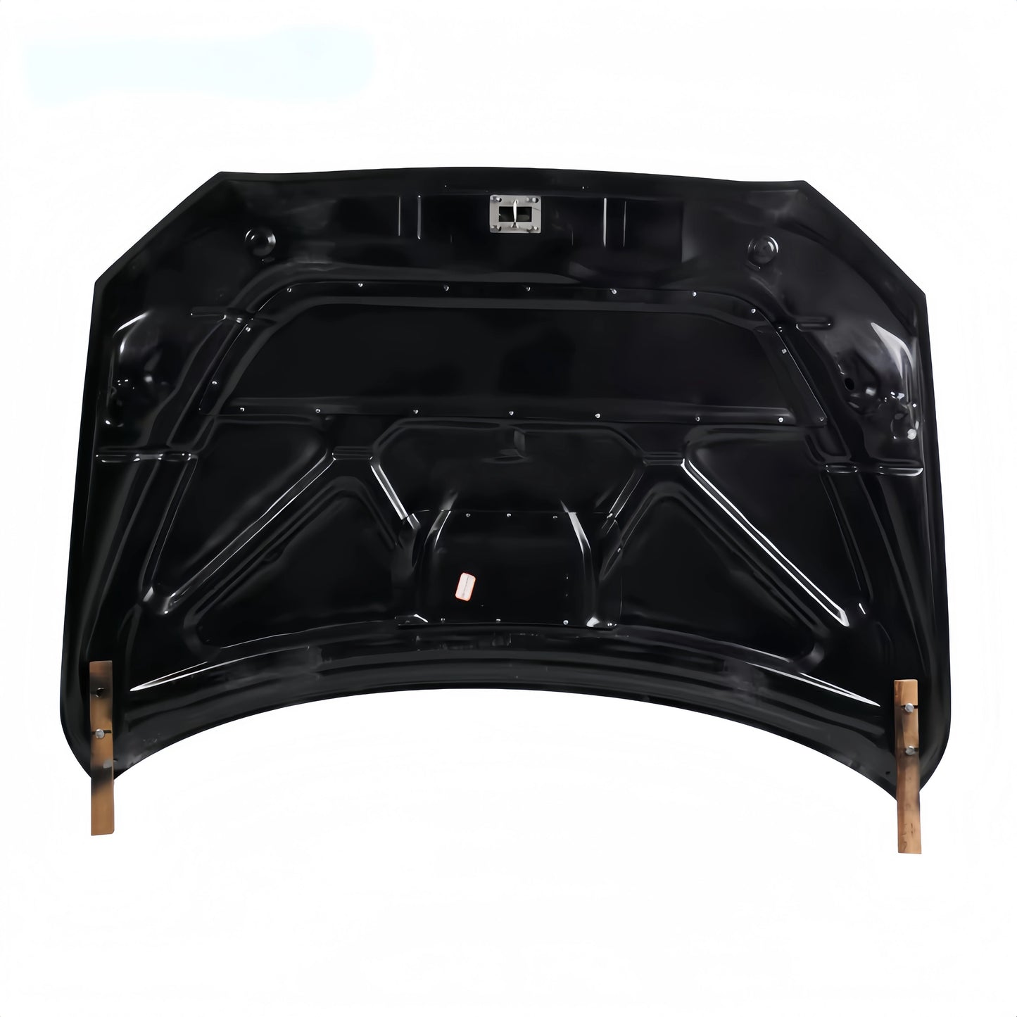 EVO X Carbon Hood
