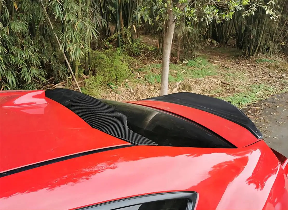 Carbon Roof Spoiler
